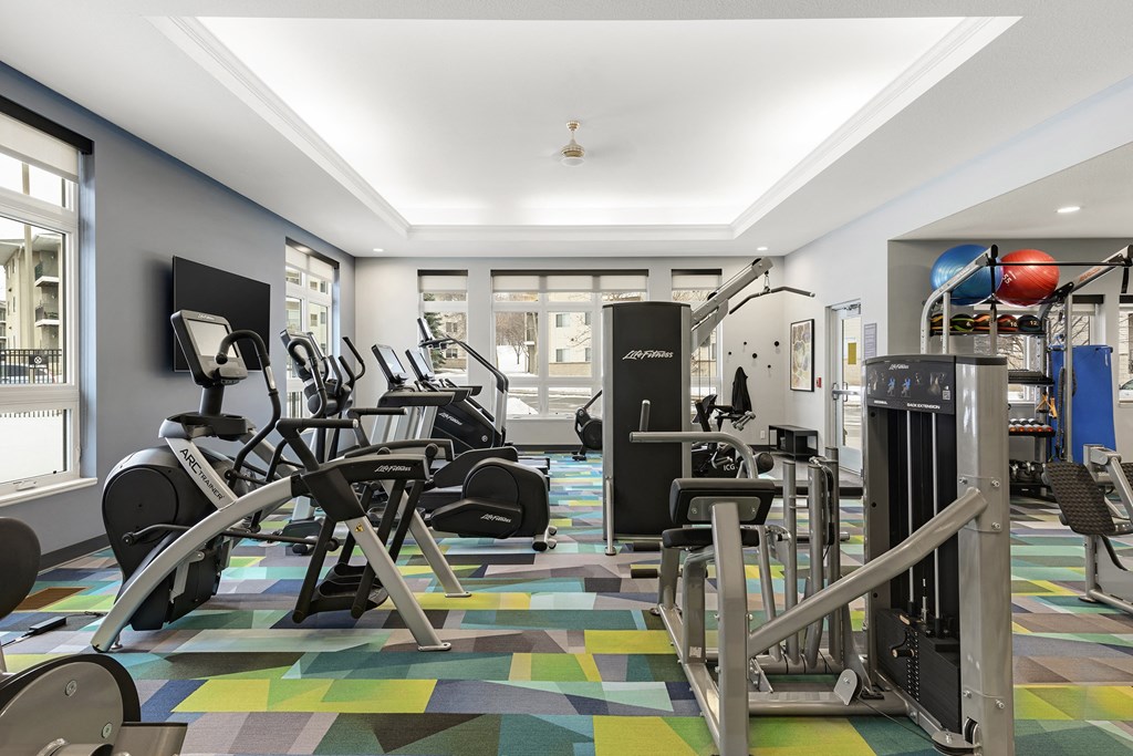 Fitness Center With Updated Equipment at Shadow Hills, Plymouth, 55442