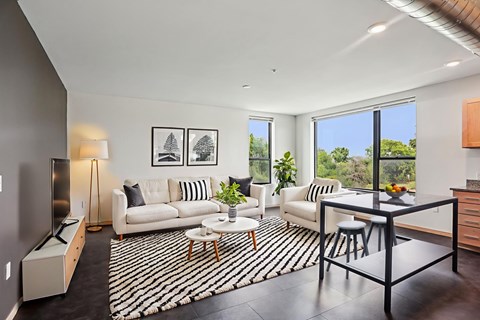 A modern living room with a black and white striped rug.
