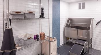 a small bathroom with a sink and a dog in it at Expo, Minneapolis, 55414