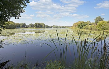 Beach South at The Lake in Robbinsdale, MN - Photo Gallery 13