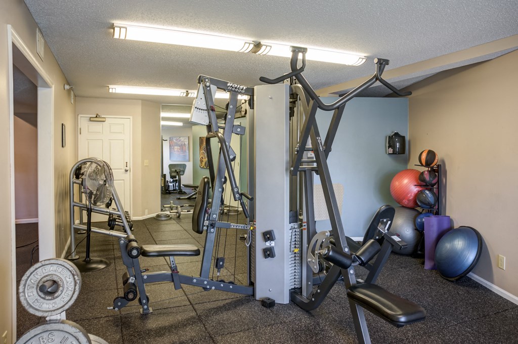 a gym with weights and cardio equipment in a home gym at Cityscape, St Louis Park, MN, 55416