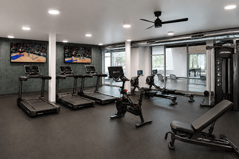 A gym with treadmills, exercise bikes, and other equipment.