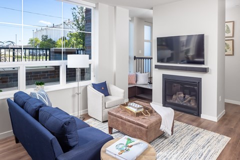Living Room With TV at Expo, Minnesota, 55414