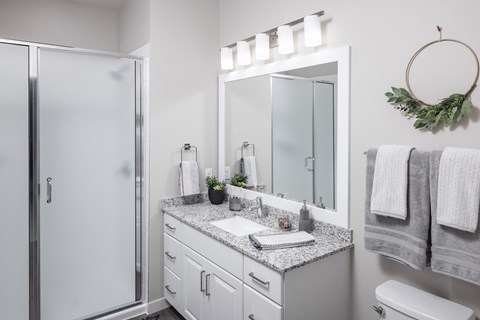 a bathroom with a sink and a shower and a mirror at Expo, Minneapolis, MN 55414