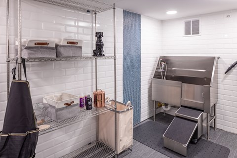 a small bathroom with a sink and a shower and a dog on a shelf at Expo, Minnesota