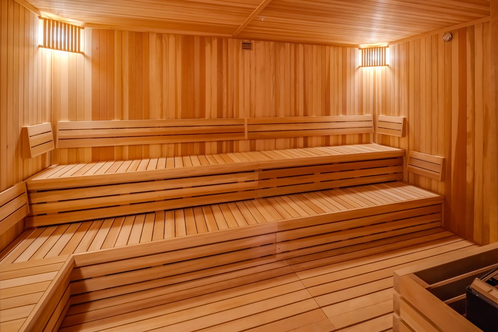 a wooden sauna with two benches in it at Expo, Minnesota, 55414