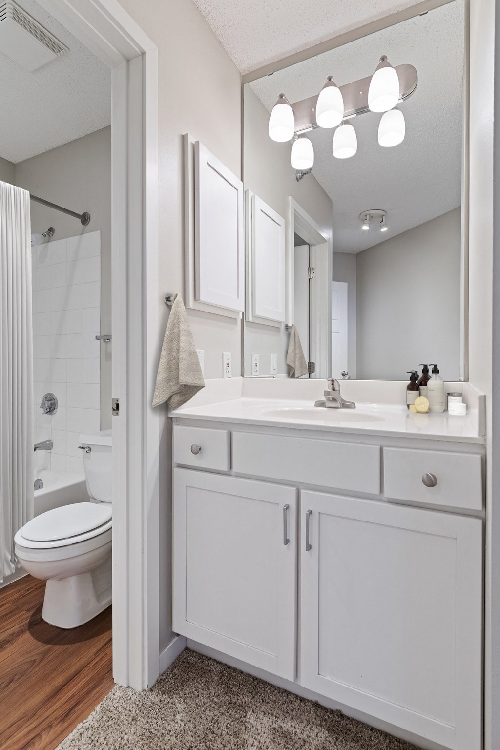 Bathroom at Galtier Towers Apartments, St. Paul, MN