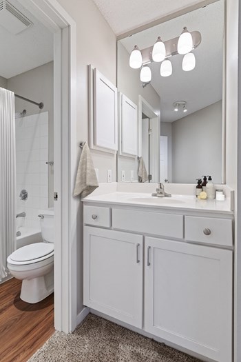 Galtier Towers Apartments in Lowertown St. Paul Bathroom - Photo Gallery 4
