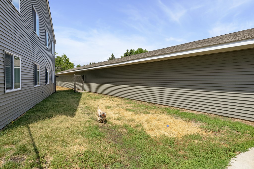 the side of a building with a dog in the grass