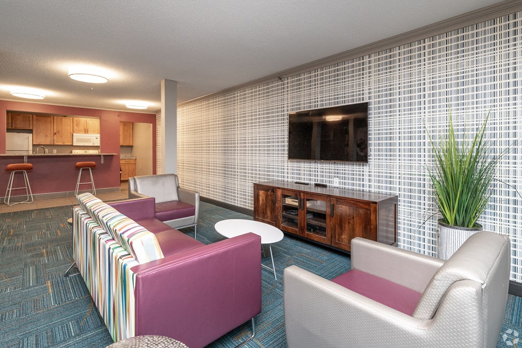 Club Room at Lou Park, St. Louis Park, MN, 55426