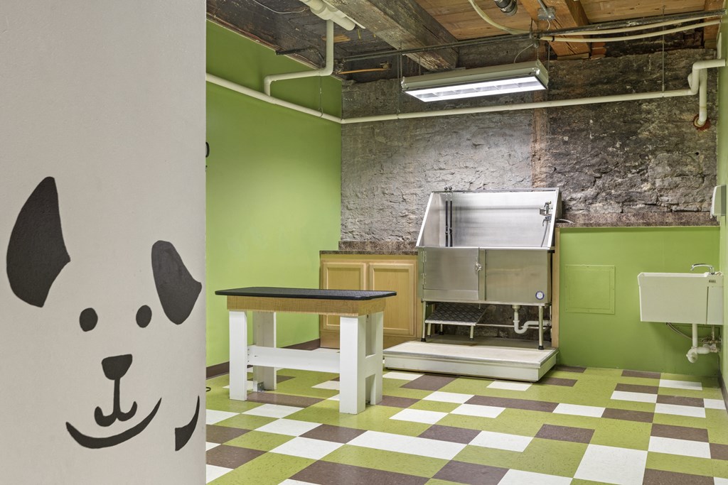 Dog Washat Lowertown Lofts, St. Paul, 55101