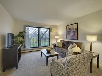 Willow Pond Living Room Willow Pond Apartments in Burnsville, MN Living Room - Photo Gallery 3