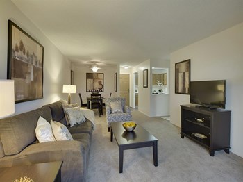 Willow Pond Living Room Willow Pond Apartments in Burnsville, MN Living Room - Photo Gallery 4