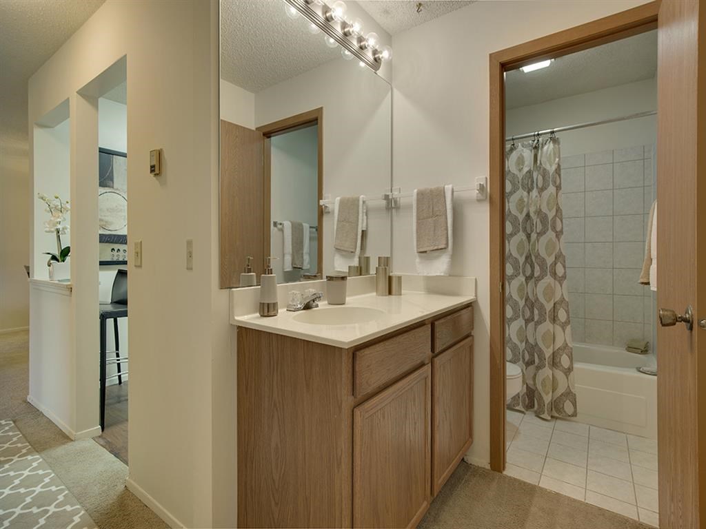 Willow Pond Apartments in Burnsville, MN Bathroom