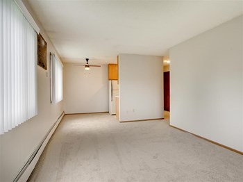 Silver Lake Living Room Silver Lake Apartments in New Brighton, MN Living Room - Photo Gallery 2