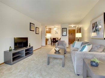 Hamline Terrace Living Room Hamline Terrace Apartments in Roseville, MN Living Room - Photo Gallery 4