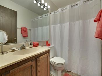 Lou Park Apartments in St. Louis Park, MN Bathroom