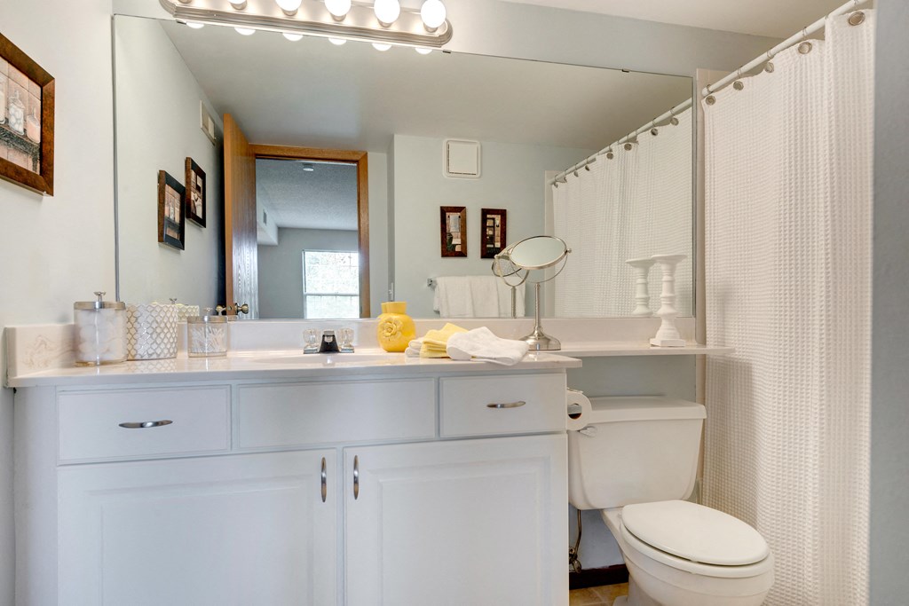 Bathroom With Vanity Lights at Mallard Ridge, Maple Grove