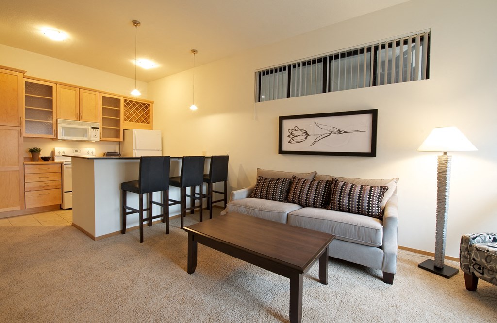 Living Area at Mears Park Place, St. Paul, Minnesota