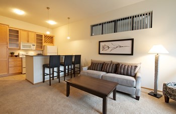 Mears Park Place Apartments in Saint Paul, MN Living Area - Photo Gallery 3