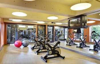 Mears Park Place Apartments in Saint Paul, MN Fitness Center