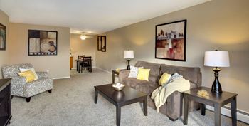 Medicine Lake Apartments in Plymouth, MN Living Room