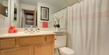 Medicine Lake Apartments in Plymouth, MN Bathroom