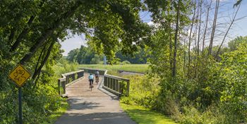 Medicine Lake Apartments in Plymouth, MN Walking Trails