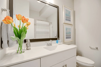 The Whit Bathroom
