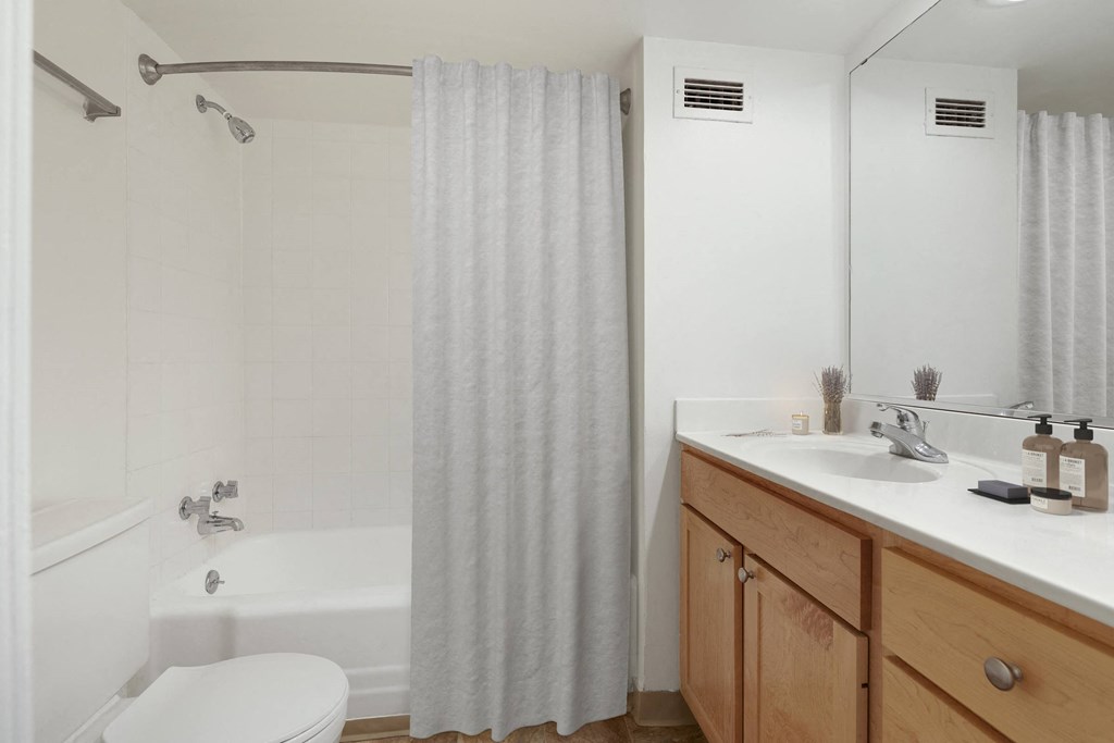 Bathroom With Bathtub at Park Towers, Minnesota