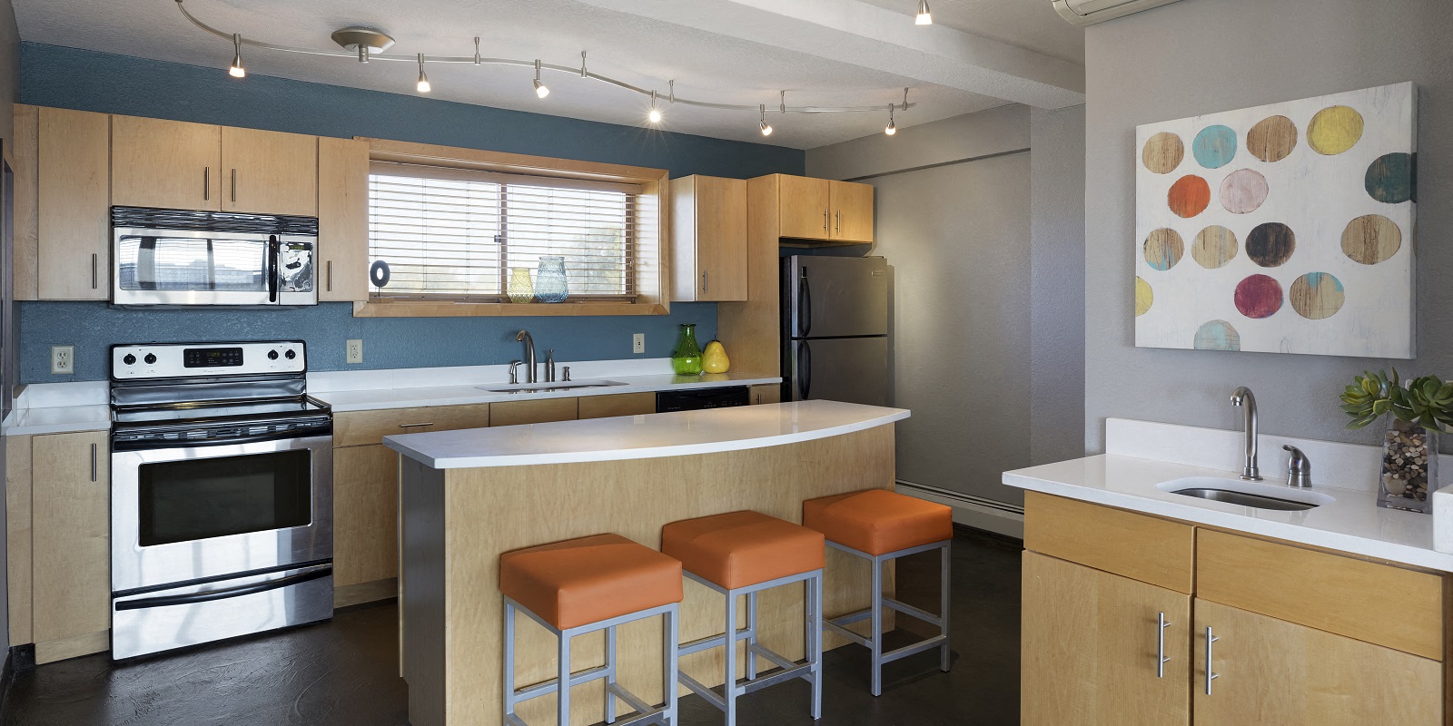 Park Towers Apartments in St. Louis Park, MN Party Room