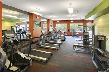 Regency Woods Apartments in Minnetonka, MN Fitness Center