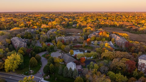 Regency Woods in the Fall  at Regency Woods, Minnesota, 55305