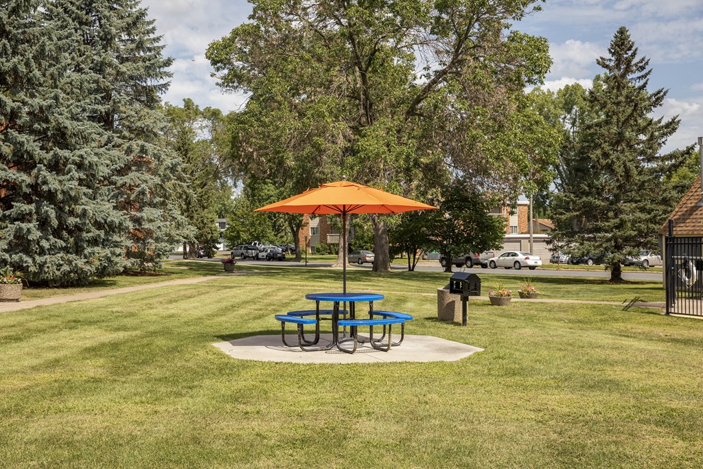 Regency Park Apartments in North St. Paul, MN Outdoor Picnic Area