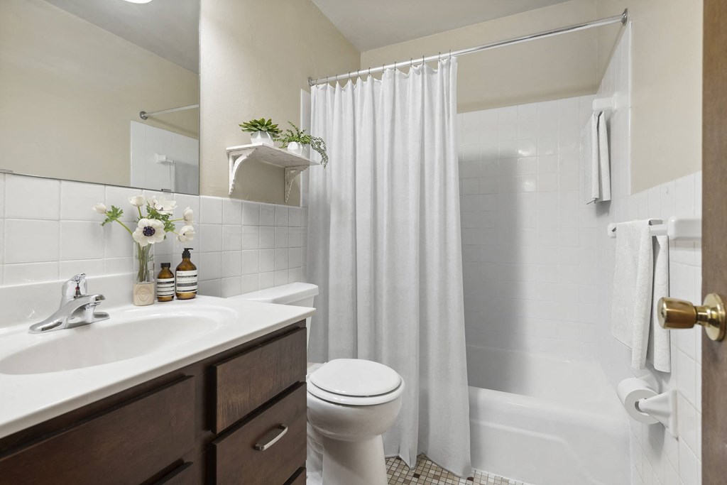 a bathroom with a shower and a sink and a toilet