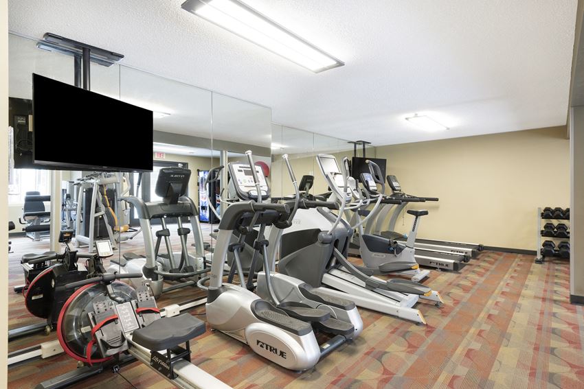 a room filled with cardio equipment and a flat screen tv