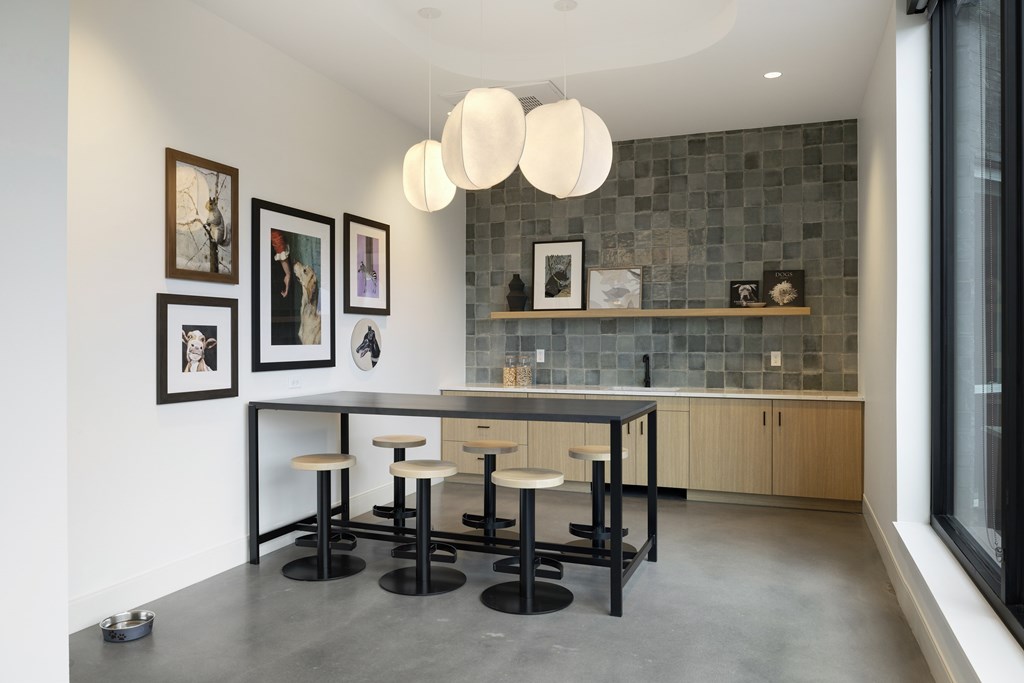 Indoor pet lounge and run at The Mera in St. Louis Park, 55426