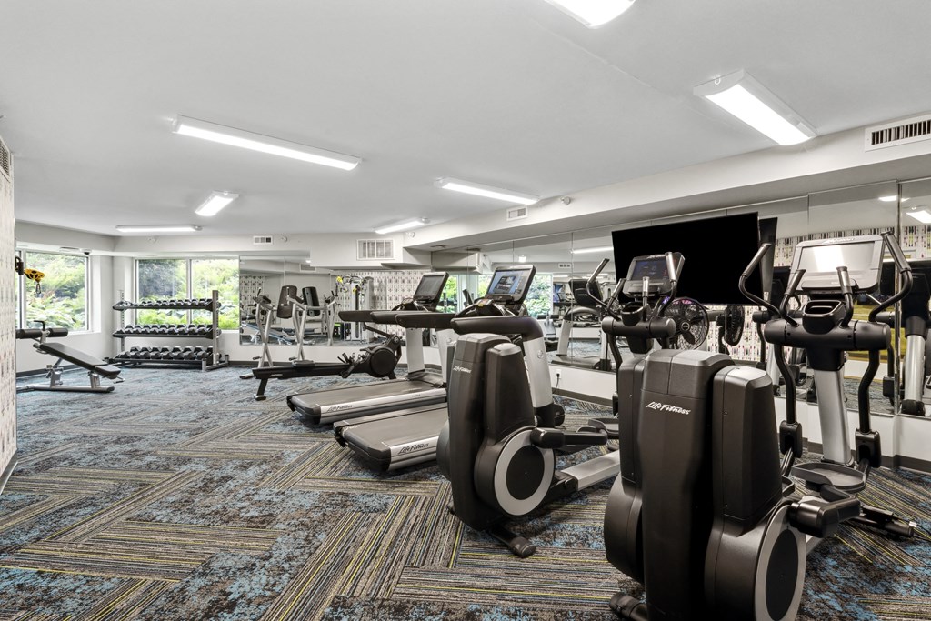 Fitness Center With Modern Equipment at The Riverwood, Lilydale, MN, 55118