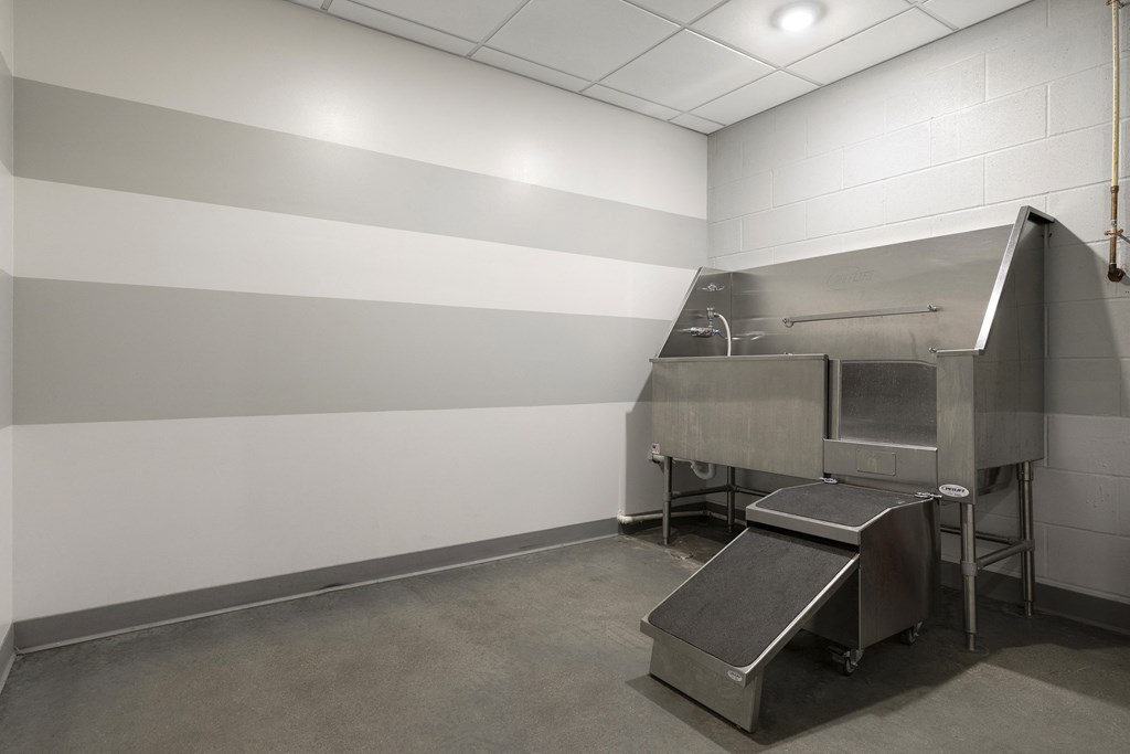 Pet bath at The Whit, Minneapolis