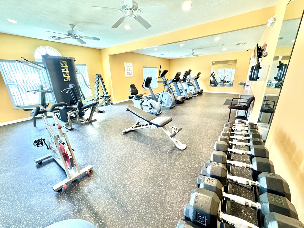 A gym with a variety of equipment including treadmills, stationary bikes, and dumbbells.