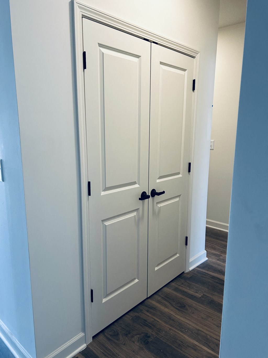 a pair of white doors with black handles in a hallway at Concord Crossing, Lafayette, IN 47909