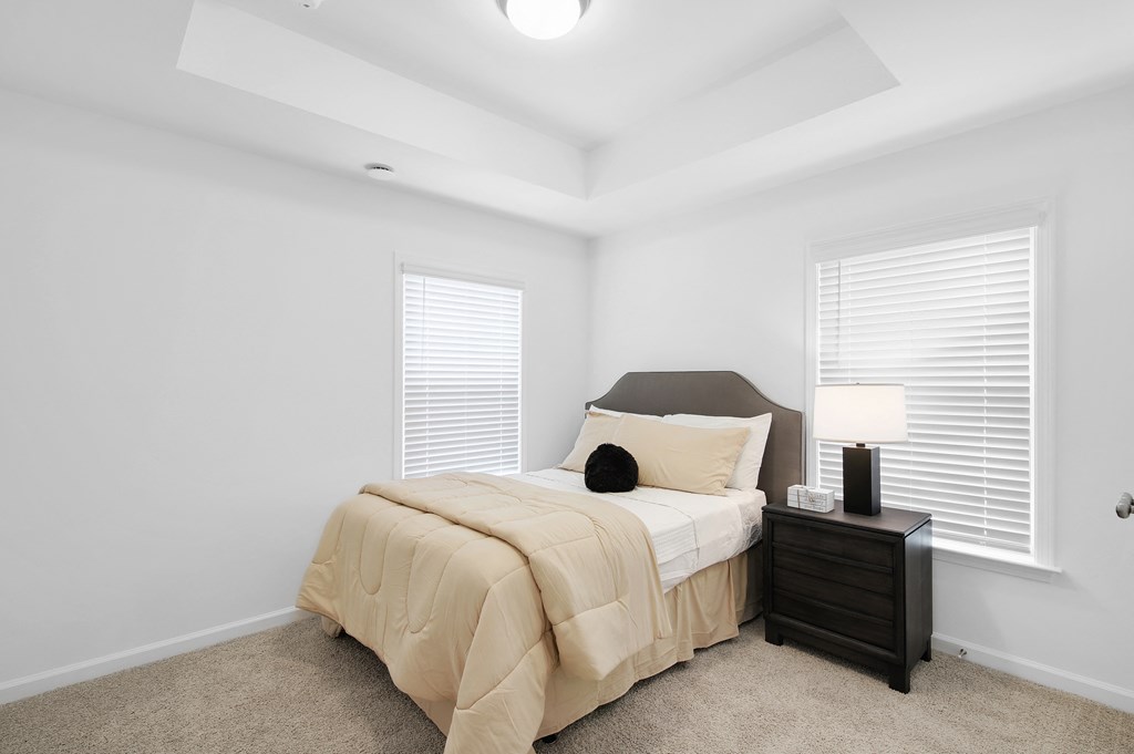 a bedroom with a bed and two windows