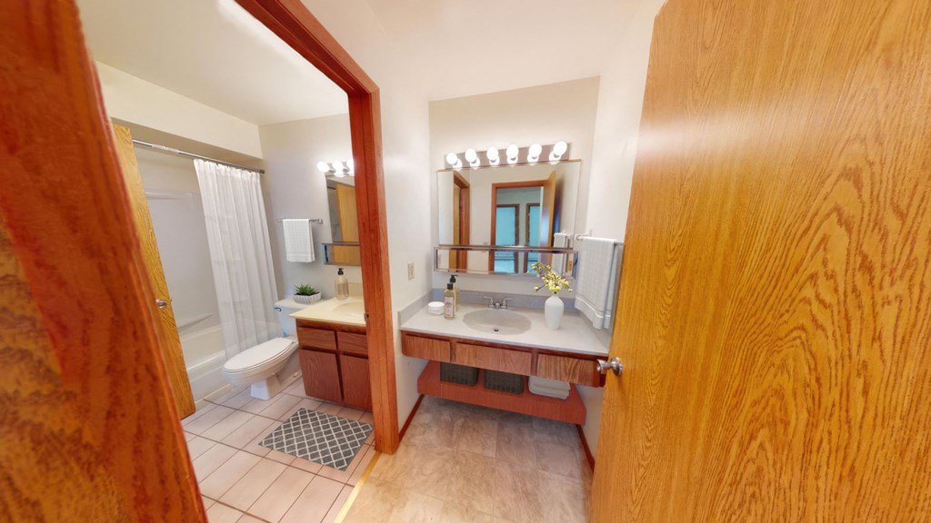 a bathroom with a sink and a toilet and a mirror