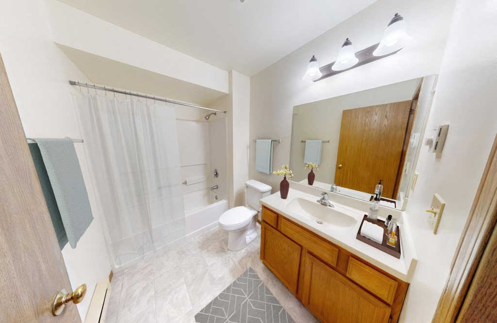 a bathroom with a sink and a toilet and a shower