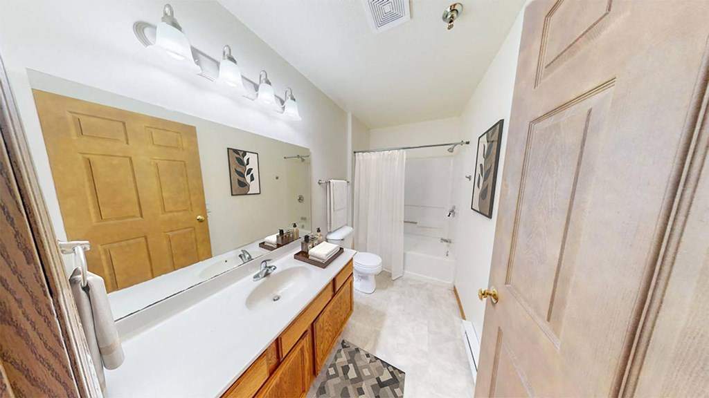 a bathroom with a sink and a toilet and a shower