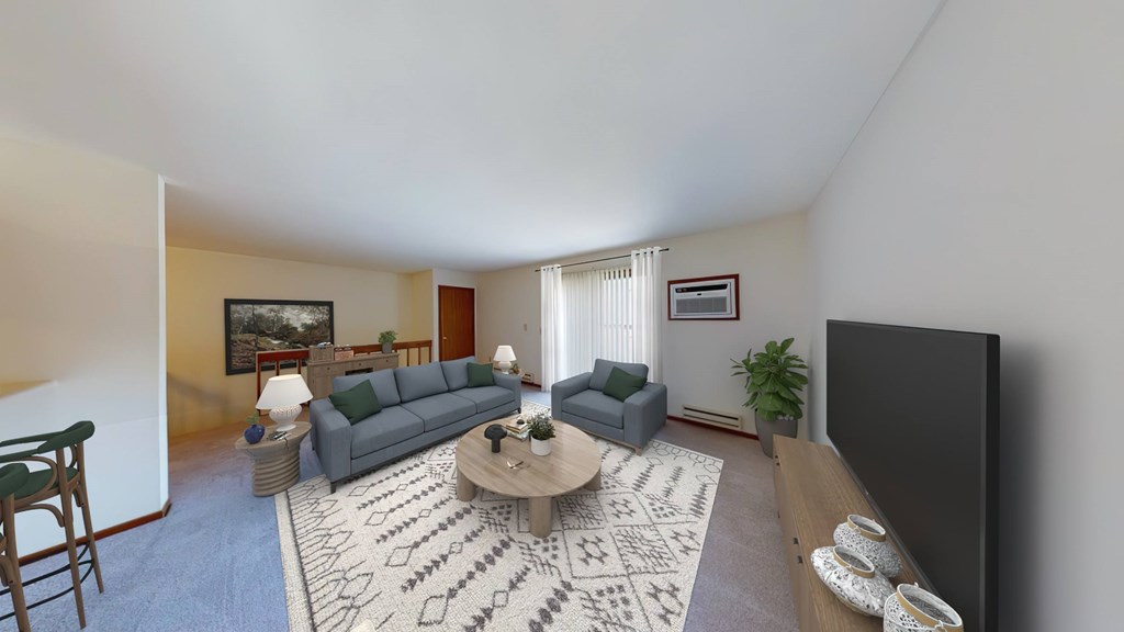 A living room with a grey couch, a coffee table, a flat screen TV, and a rug.