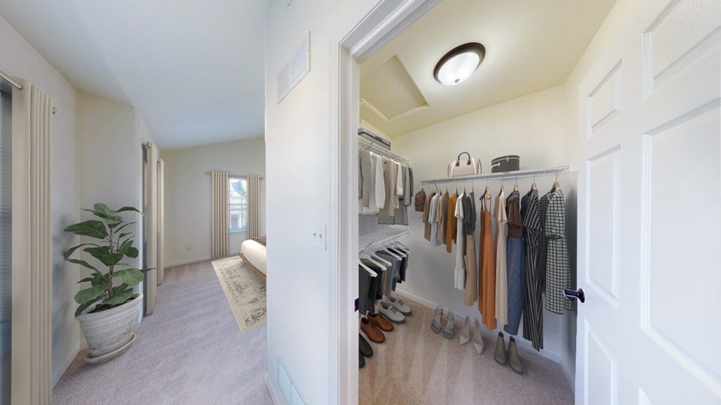 A hallway with a white door and a white wall with a plant on the left.