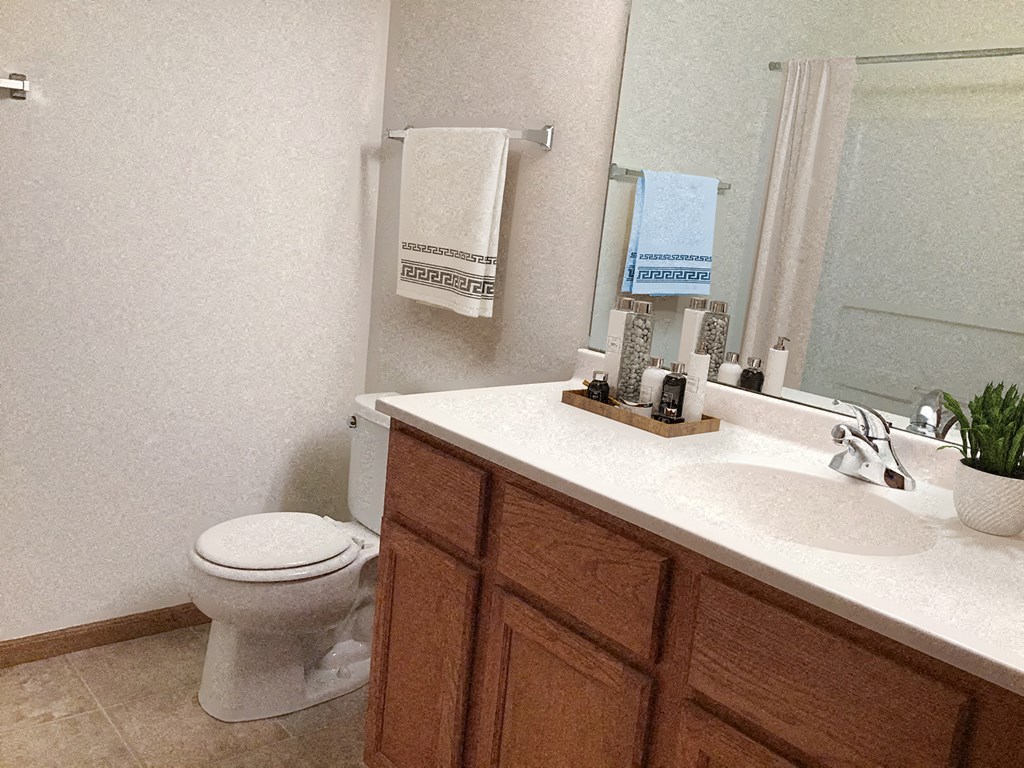 a bathroom with a sink and a toilet and a mirror