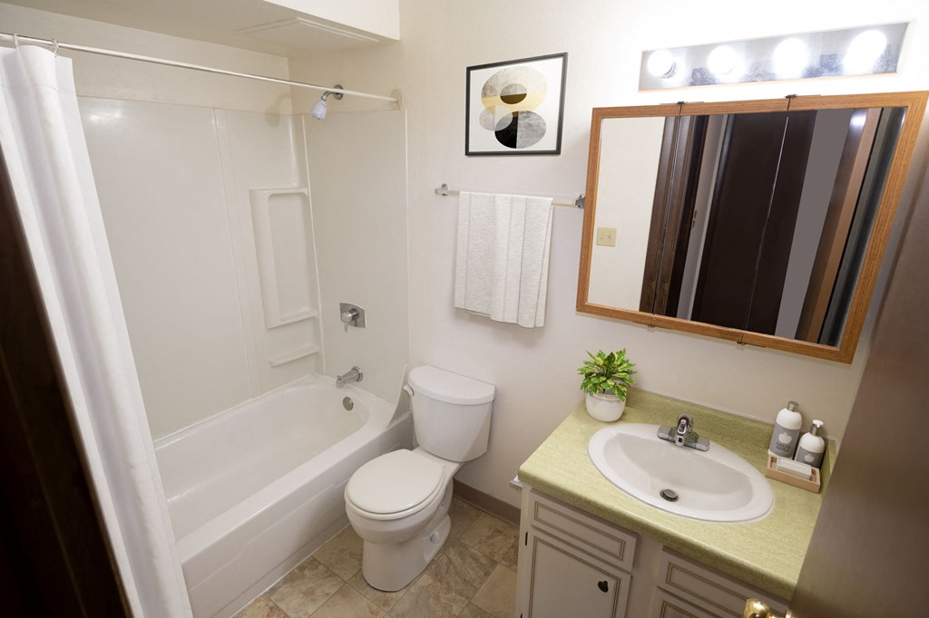 a bathroom with a sink toilet and a bath tub