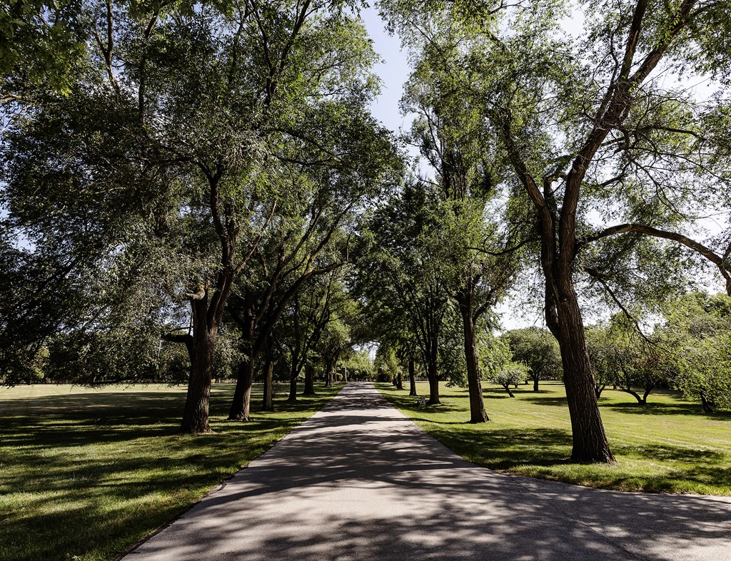 a tree lined path in a park with trees